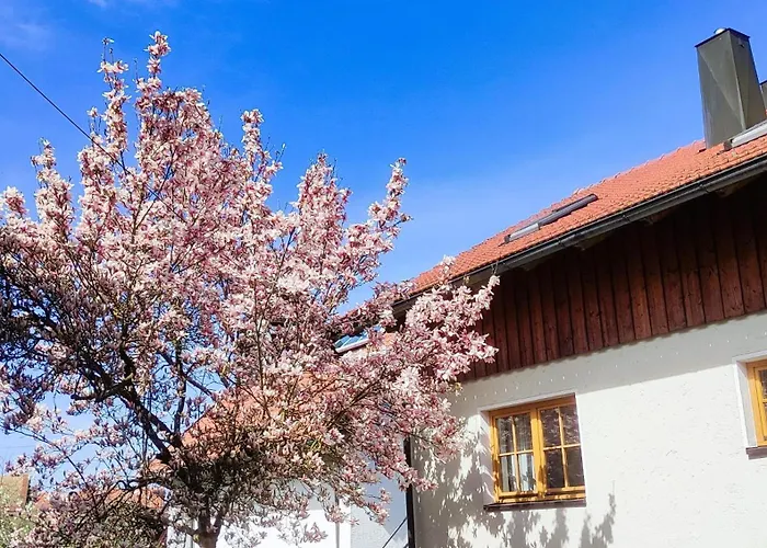 Zur Alten Schmiede Arrach